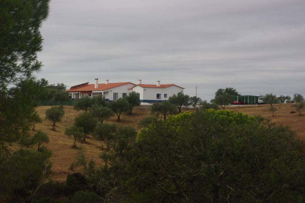 Monte Anna Bed and Breakfast Vila Verde de Ficalho Εξωτερικό φωτογραφία