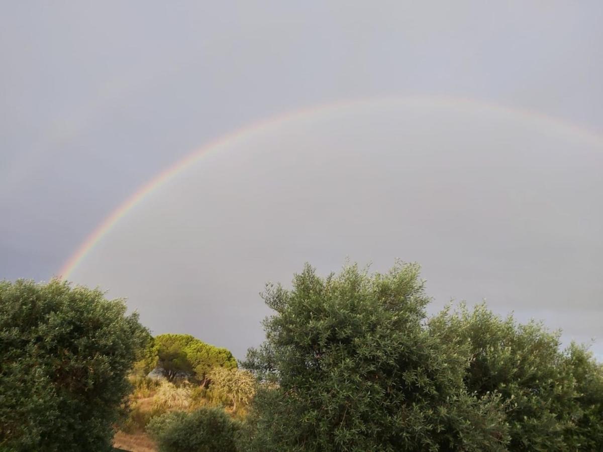 Monte Anna Bed and Breakfast Vila Verde de Ficalho Εξωτερικό φωτογραφία