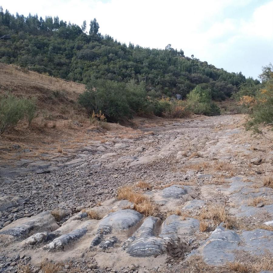 Monte Anna Bed and Breakfast Vila Verde de Ficalho Εξωτερικό φωτογραφία